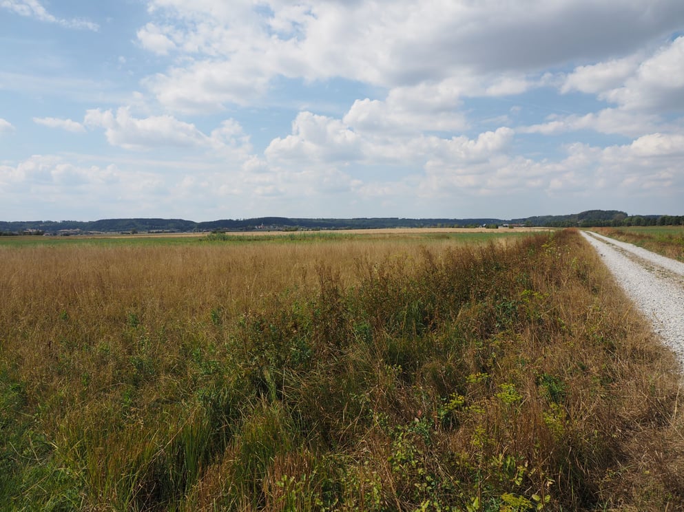 Positives Beispiel bei Leutershausen  Foto: LBV-Ansbach